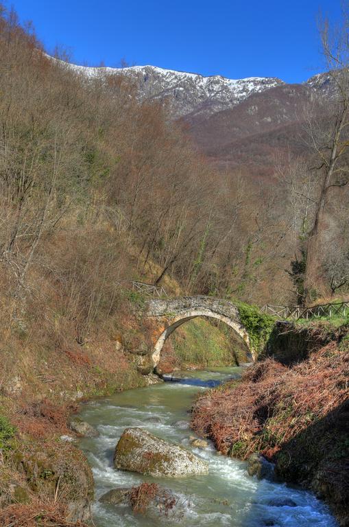 Agriturismo Dai Marchesin Nasino Dış mekan fotoğraf